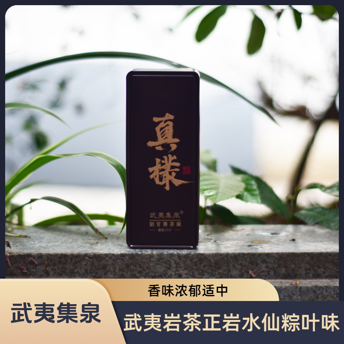 真欉水仙兰花香粽叶木质香中火水仙两泡铁盒品鉴装