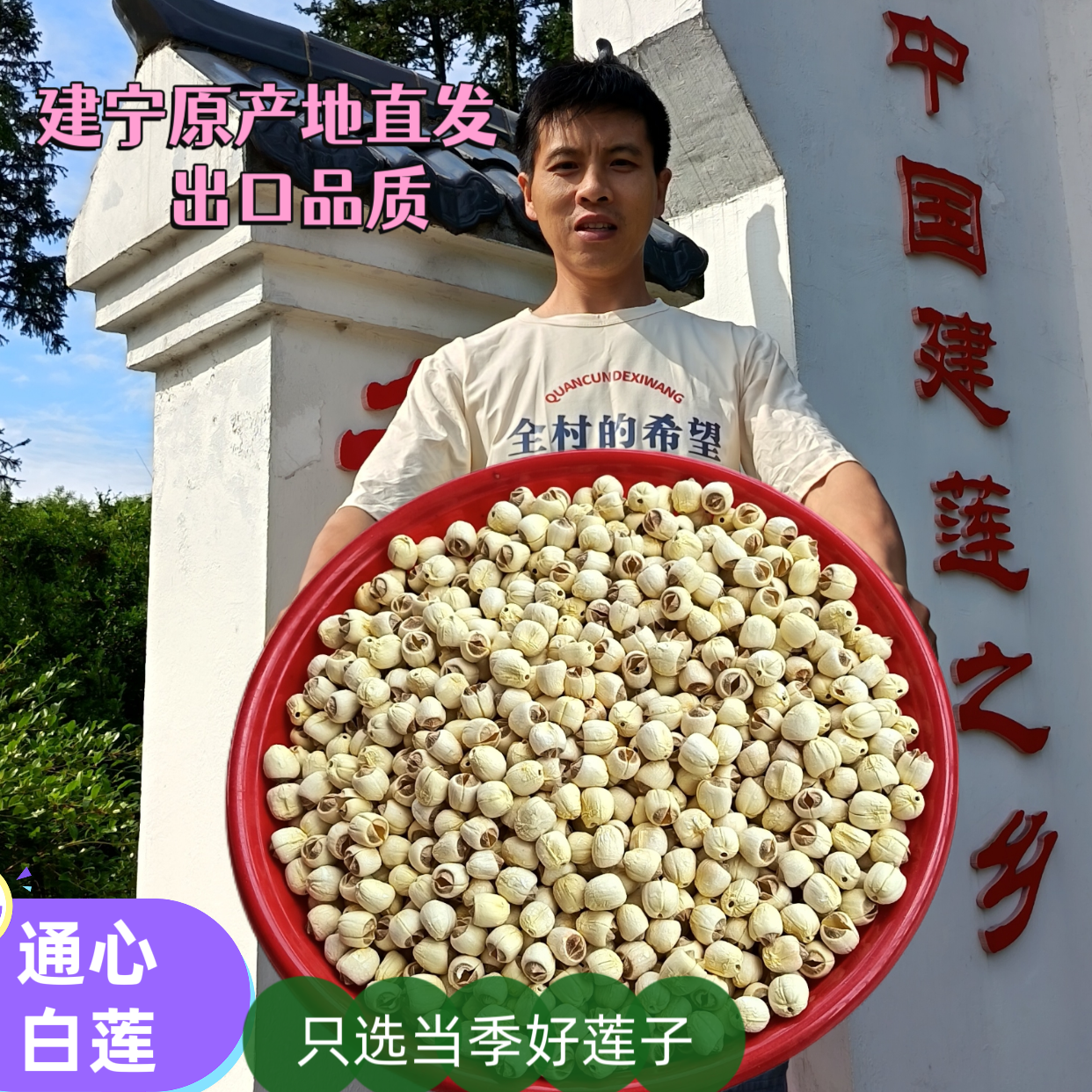 （纯手工去心）新货正宗建宁百合纯天然莲子贡莲干货养生特大煲汤