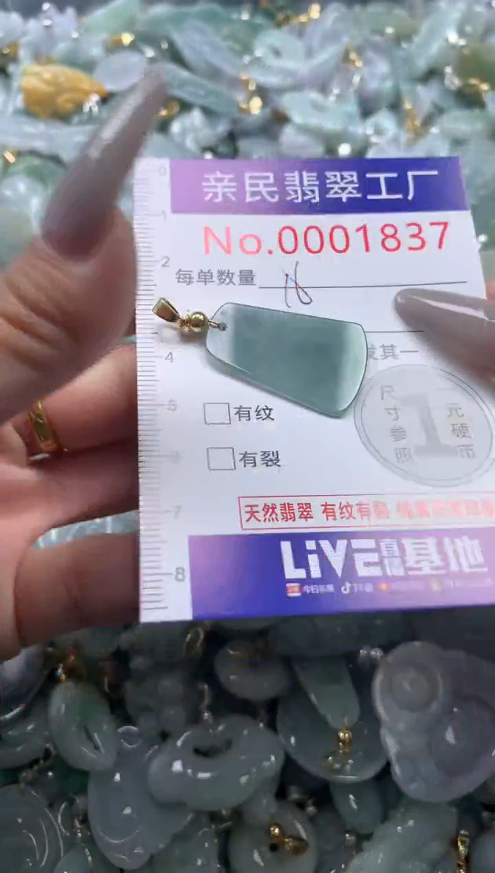 颈饰未镶嵌翡翠1837