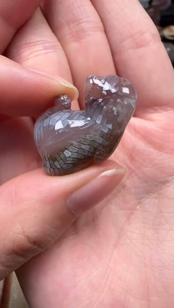 颈饰未镶嵌硅化珊瑚（珊瑚玉）411