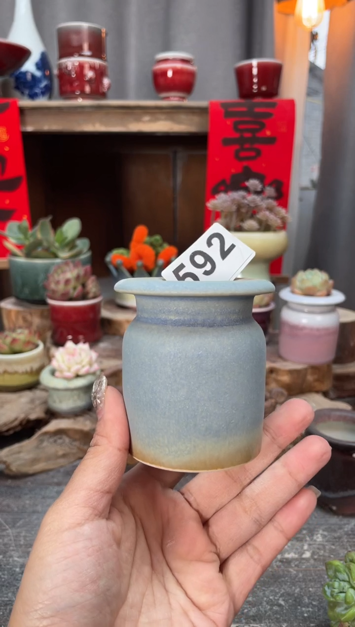 【闪购商品】摆件592知木小芳花盆