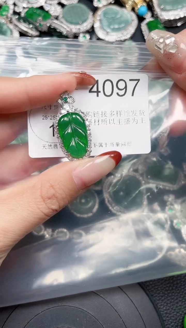 【闪购商品】翡翠颈饰未镶嵌赠皮绳4097