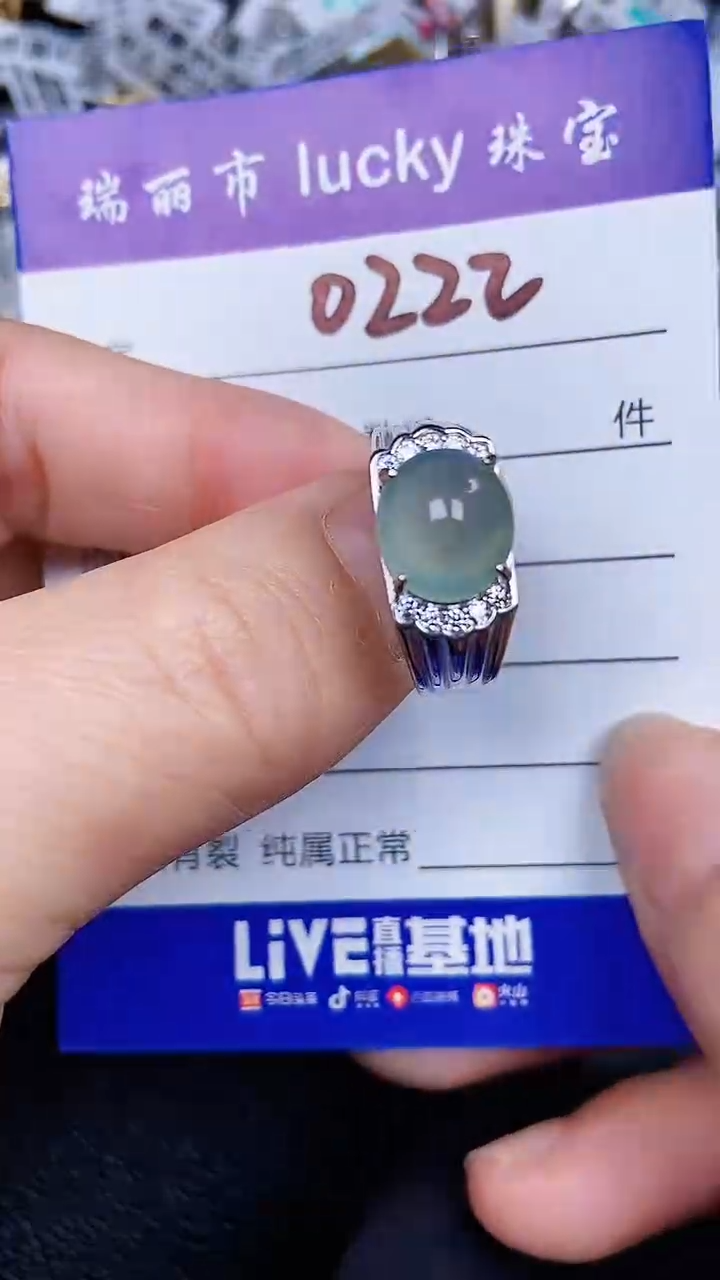 颈饰银S925镶嵌翡翠0222