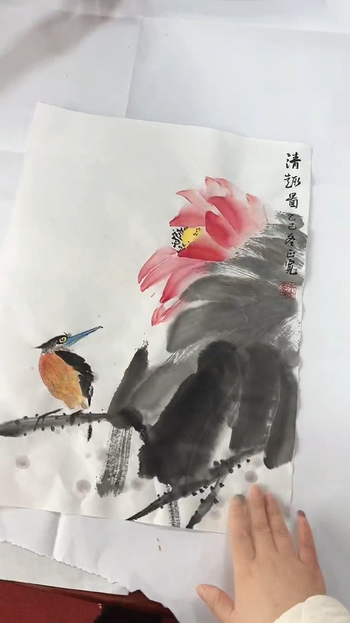 国画直播福利/国画/花鸟