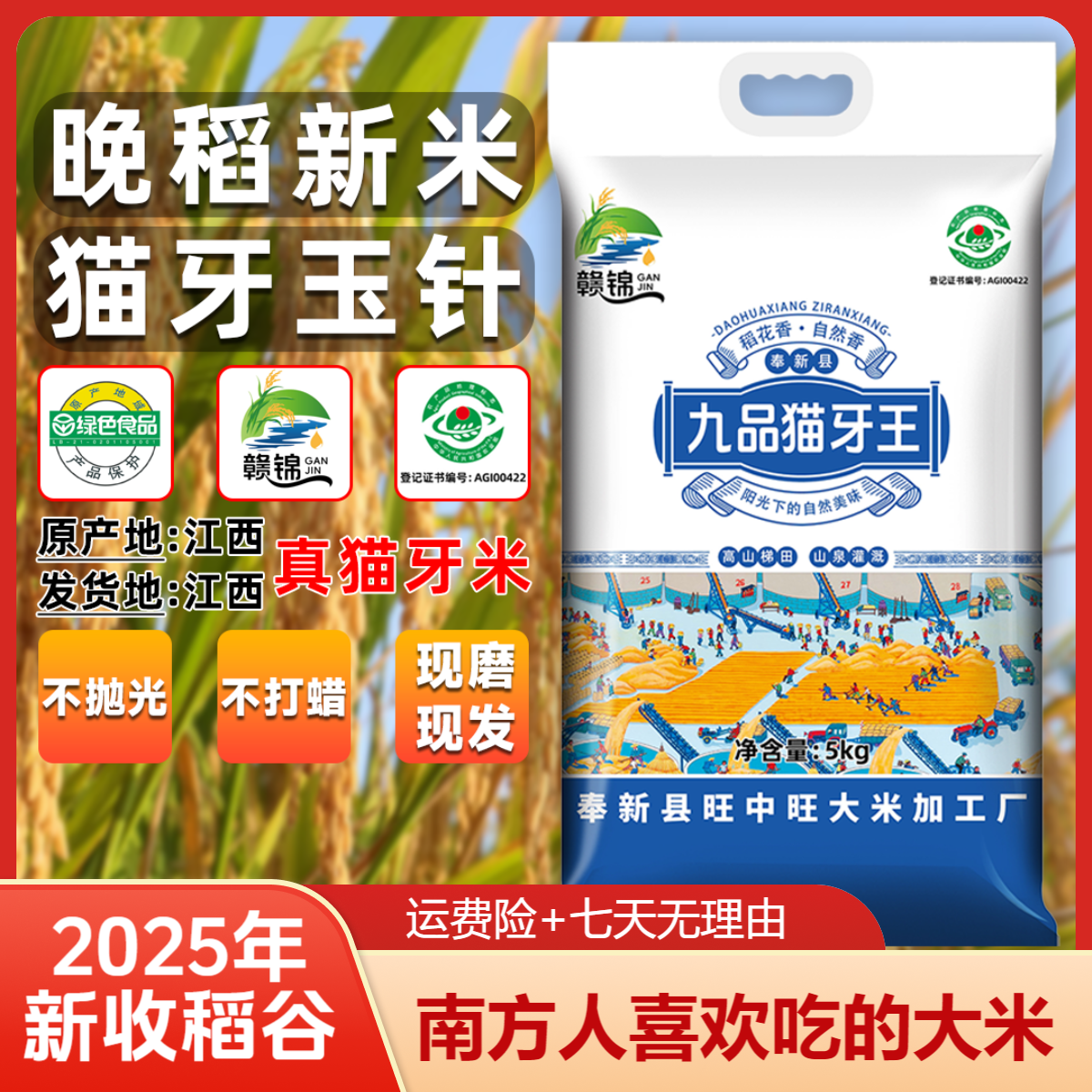 【江西产真猫牙米】真空九品猫牙王一年一季软糯米11月收割晚稻新米