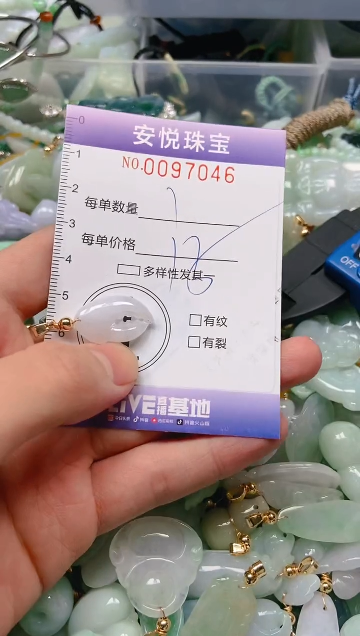 【闪购商品】翡翠颈饰未镶嵌闪购0097046