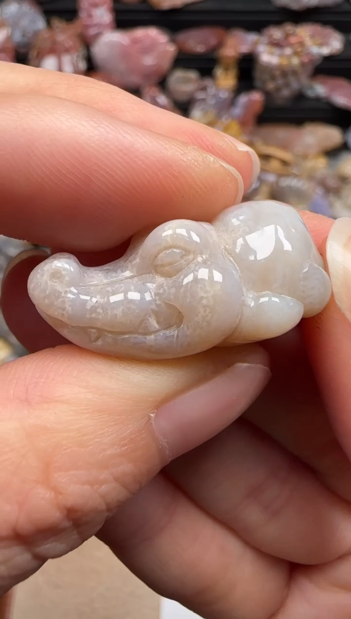 【闪购商品】硅化珊瑚（珊瑚玉）颈饰未镶嵌566