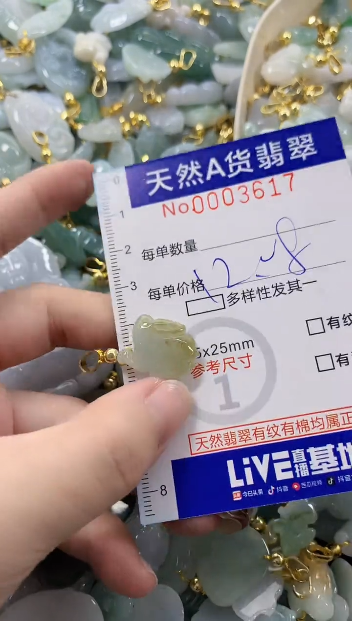 颈饰未镶嵌翡翠天然A货翡翠