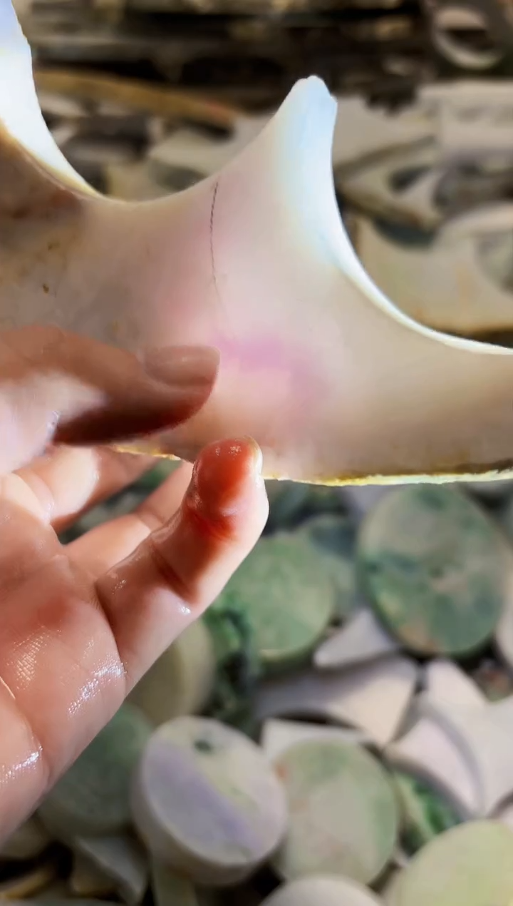 【闪购商品】翡翠颈饰未镶嵌A货白文2033