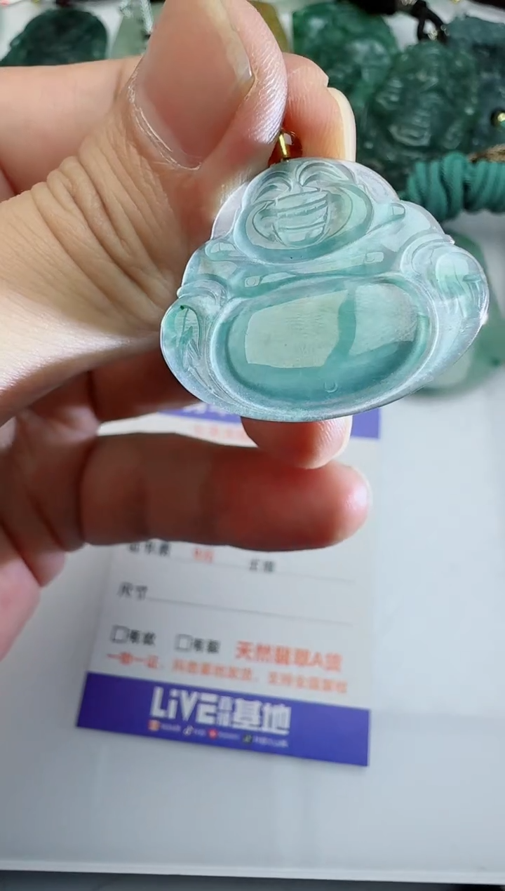 【闪购商品】翡翠颈饰未镶嵌多样性随机发其一