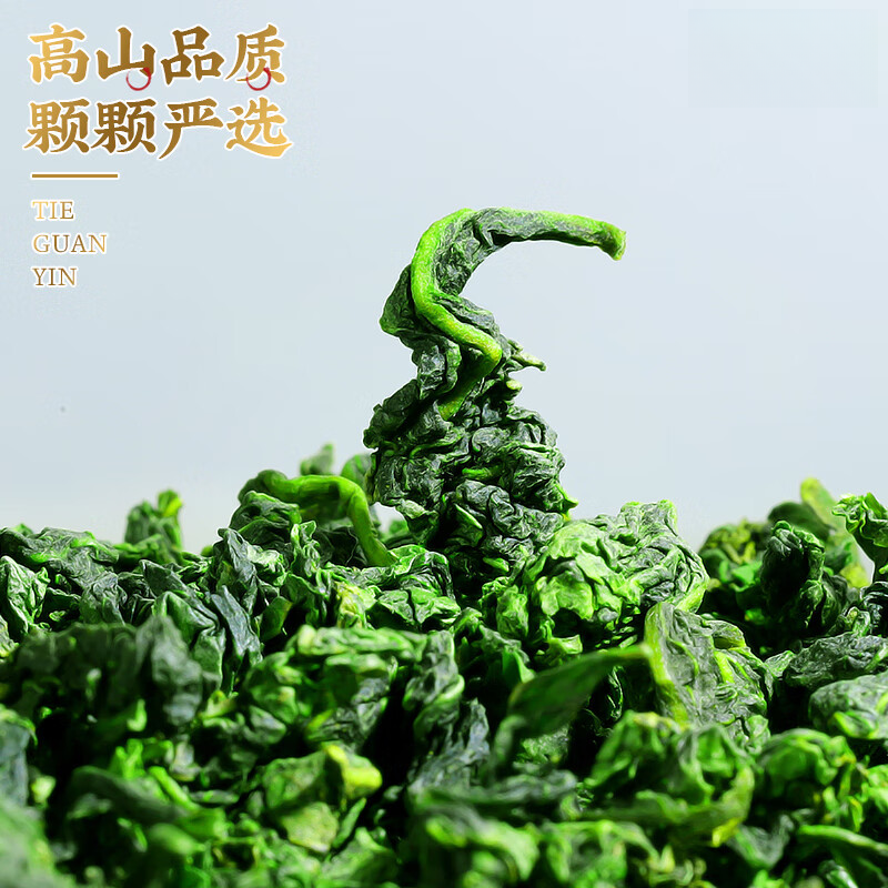 【收茶链接】高山铁观音乌龙茶茶叶清香型