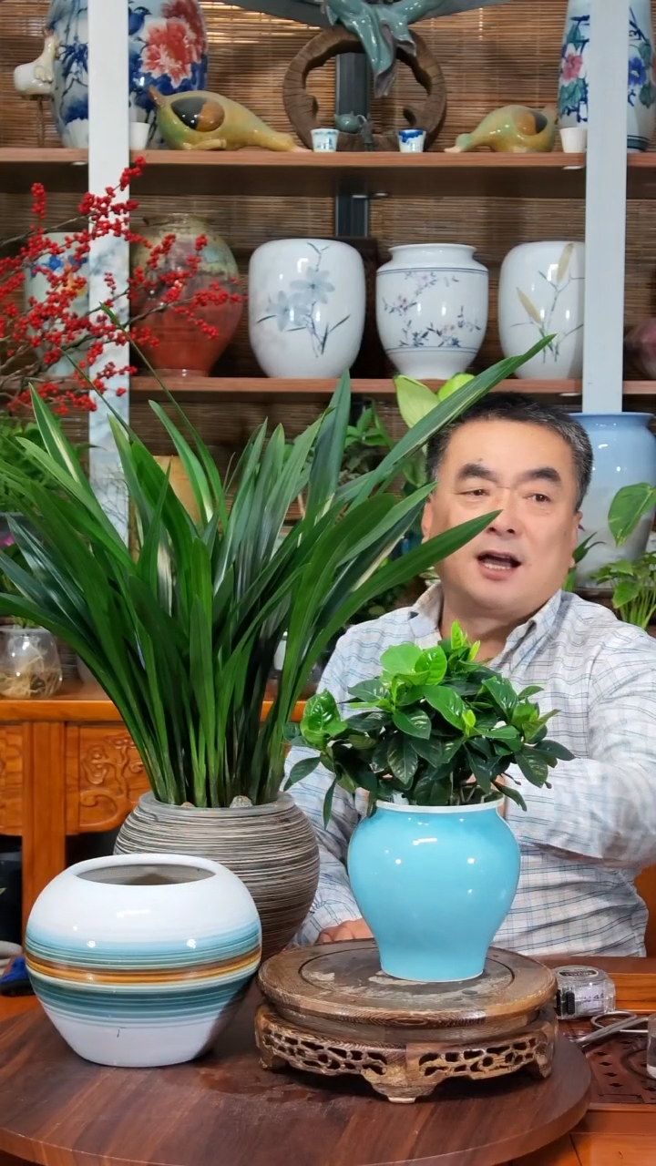 完全开放范*文 水之韵水培 栀子花带瓶+一个瓶