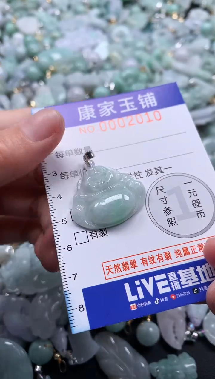 颈饰未镶嵌翡翠2010