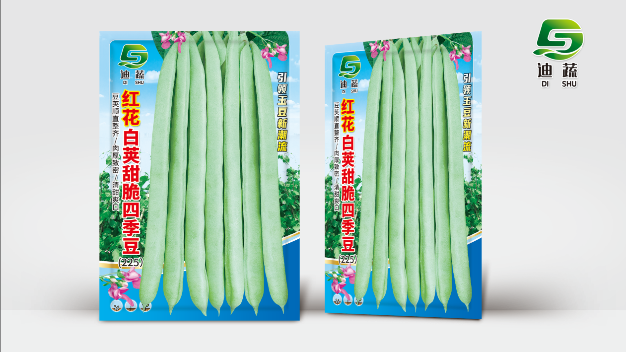 红花白荚甜脆四季豆种子早熟高产抗病耐热红花四季子爬藤无筋种子