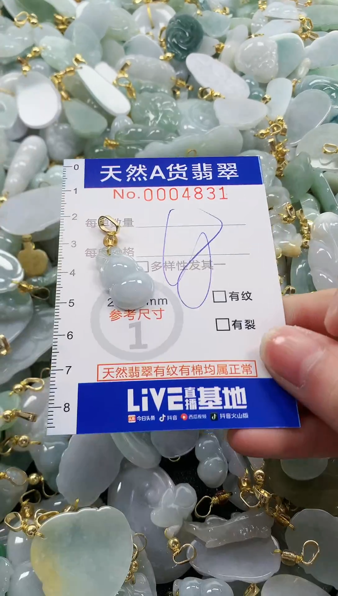 颈饰未镶嵌翡翠纯天然a货翡翠