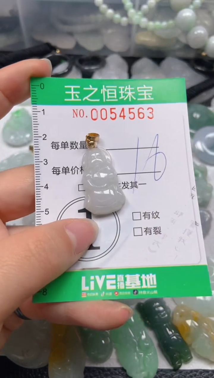 【闪购商品】翡翠未镶嵌颈饰闪购0054563