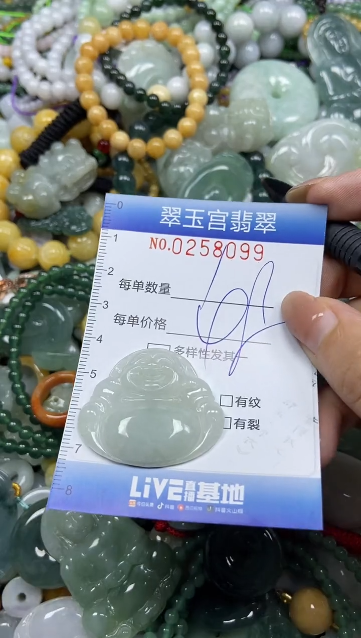 颈饰未镶嵌翡翠闪购C0258099