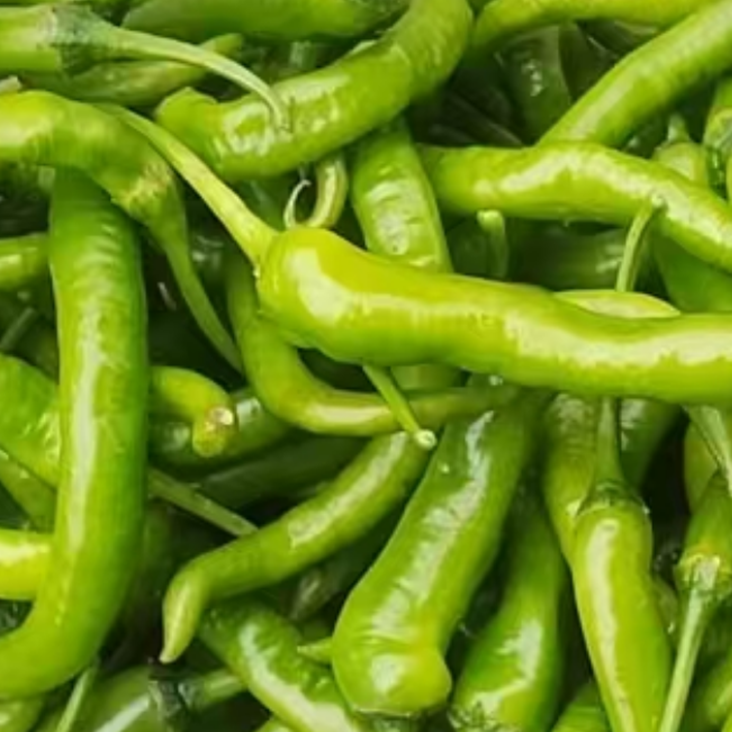 云南农家自种新鲜辣椒