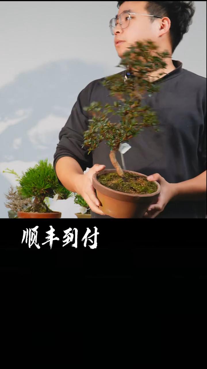 【闪购商品】·c976星之辉bubaoyou