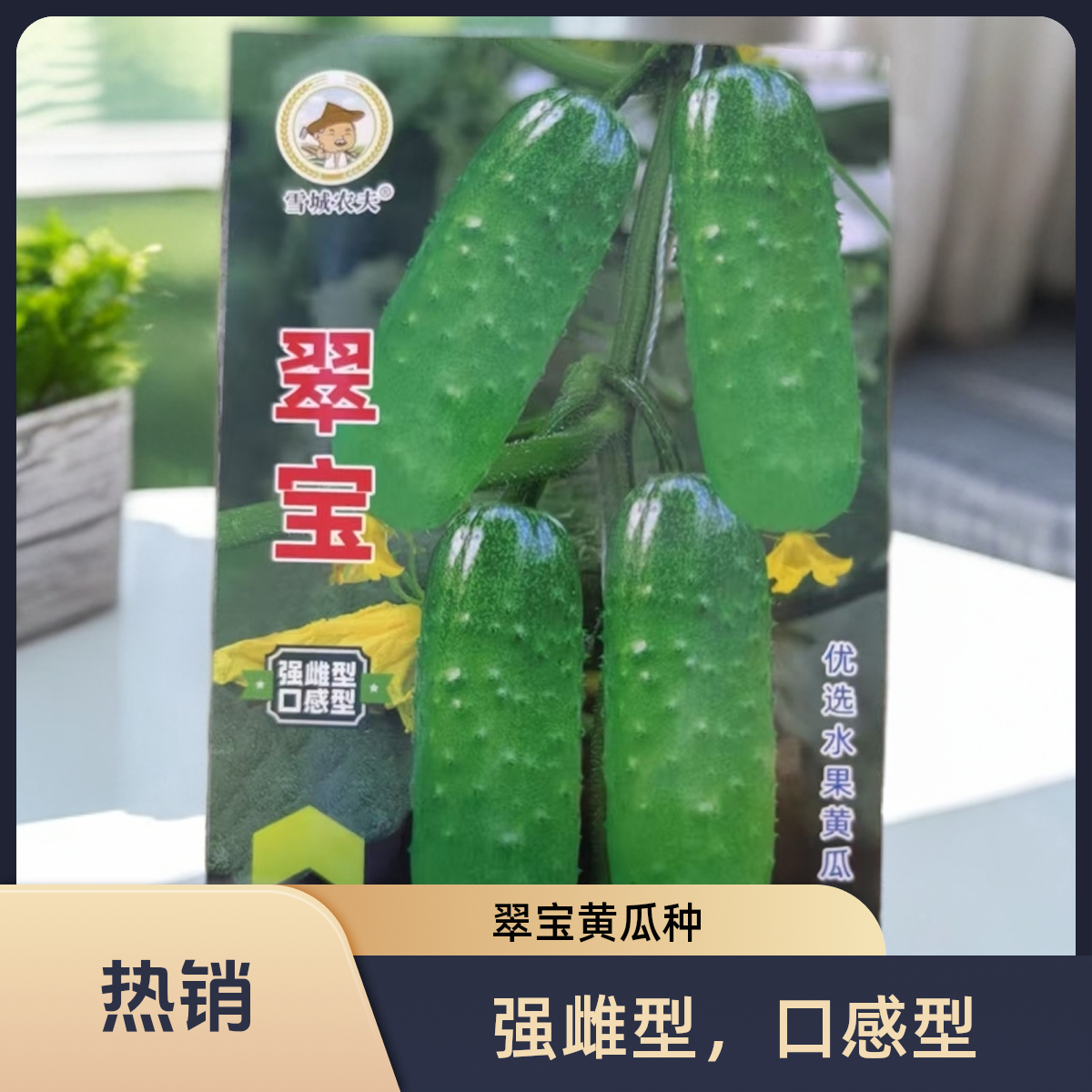 翠宝水果黄瓜种子（强磁型）