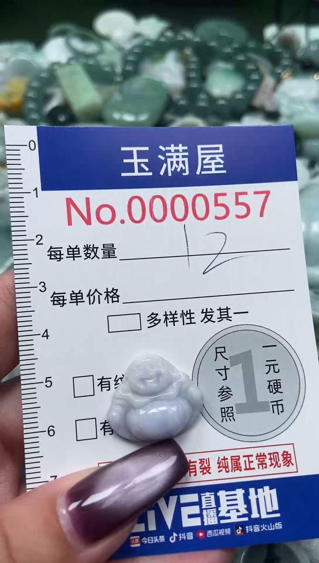 颈饰未镶嵌翡翠557