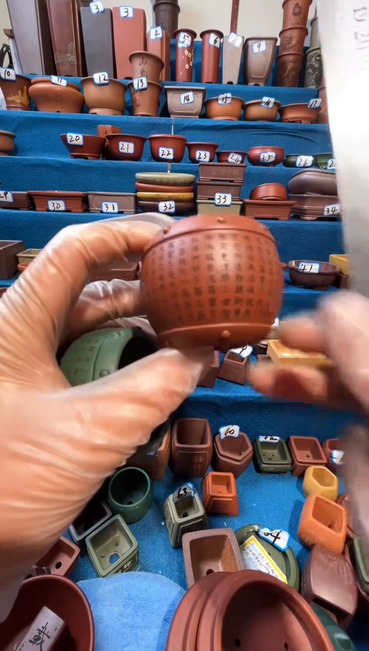 【闪购商品】紫砂紫砂花盆