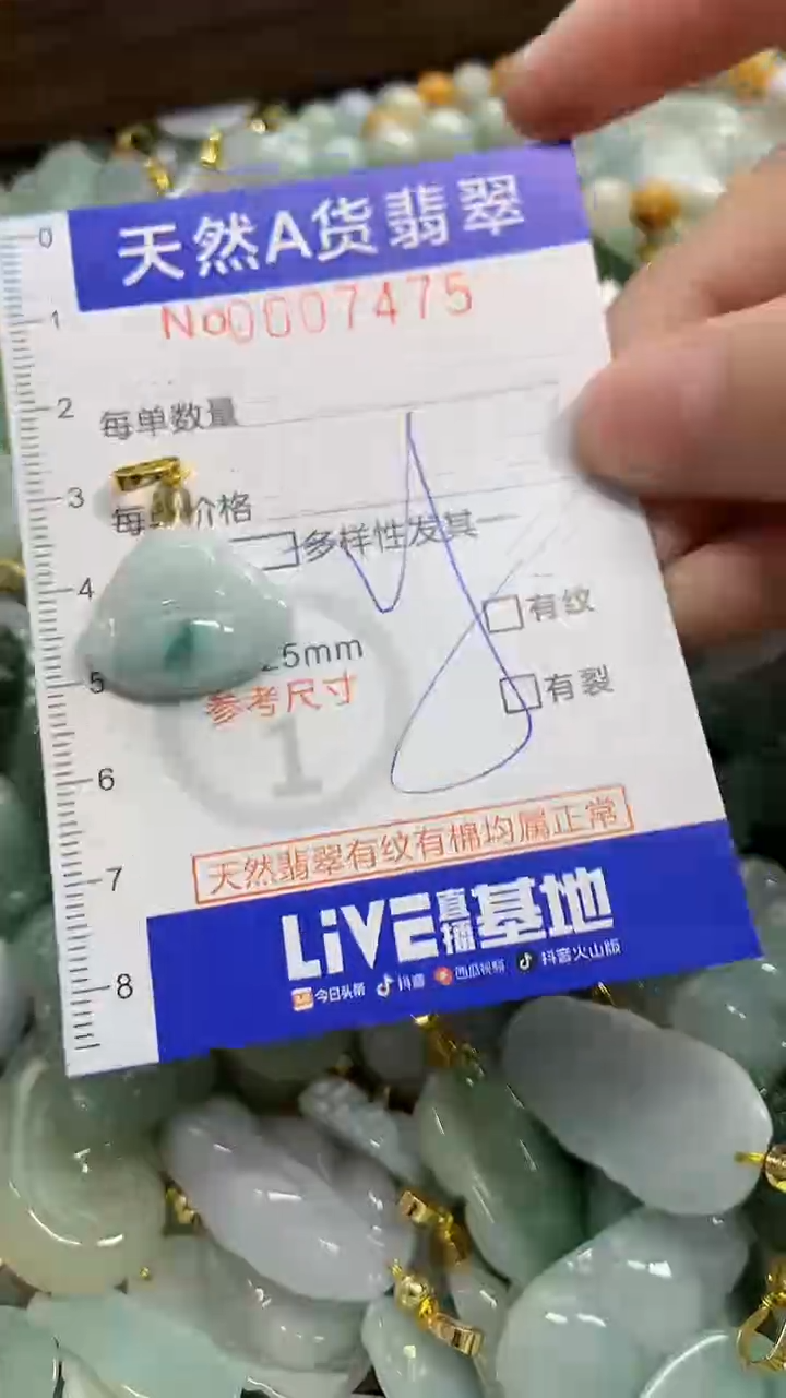 颈饰未镶嵌翡翠天然A货翡翠