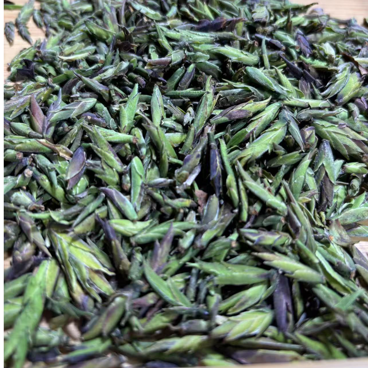 2025年荒野绿芽苞普洱白茶散茶200克5月10日-【12号品】