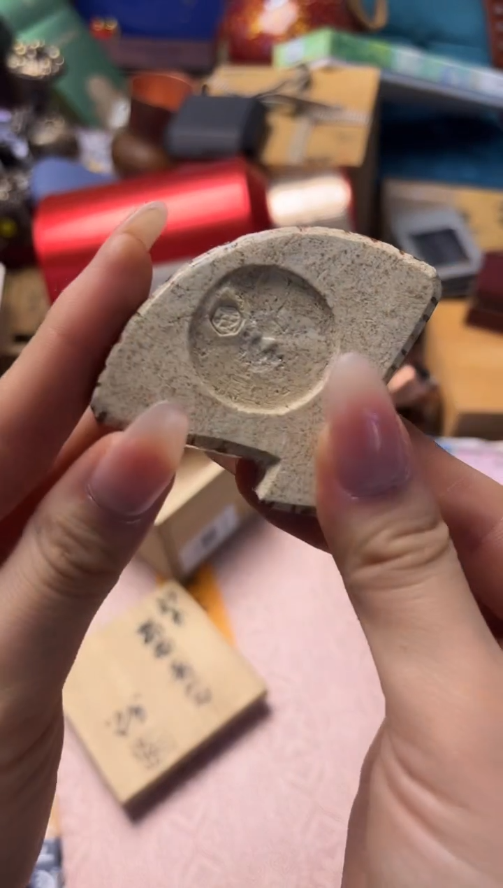 茶宠666666666666666666