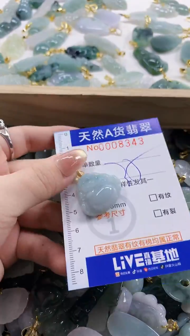 颈饰未镶嵌翡翠天然A货翡翠