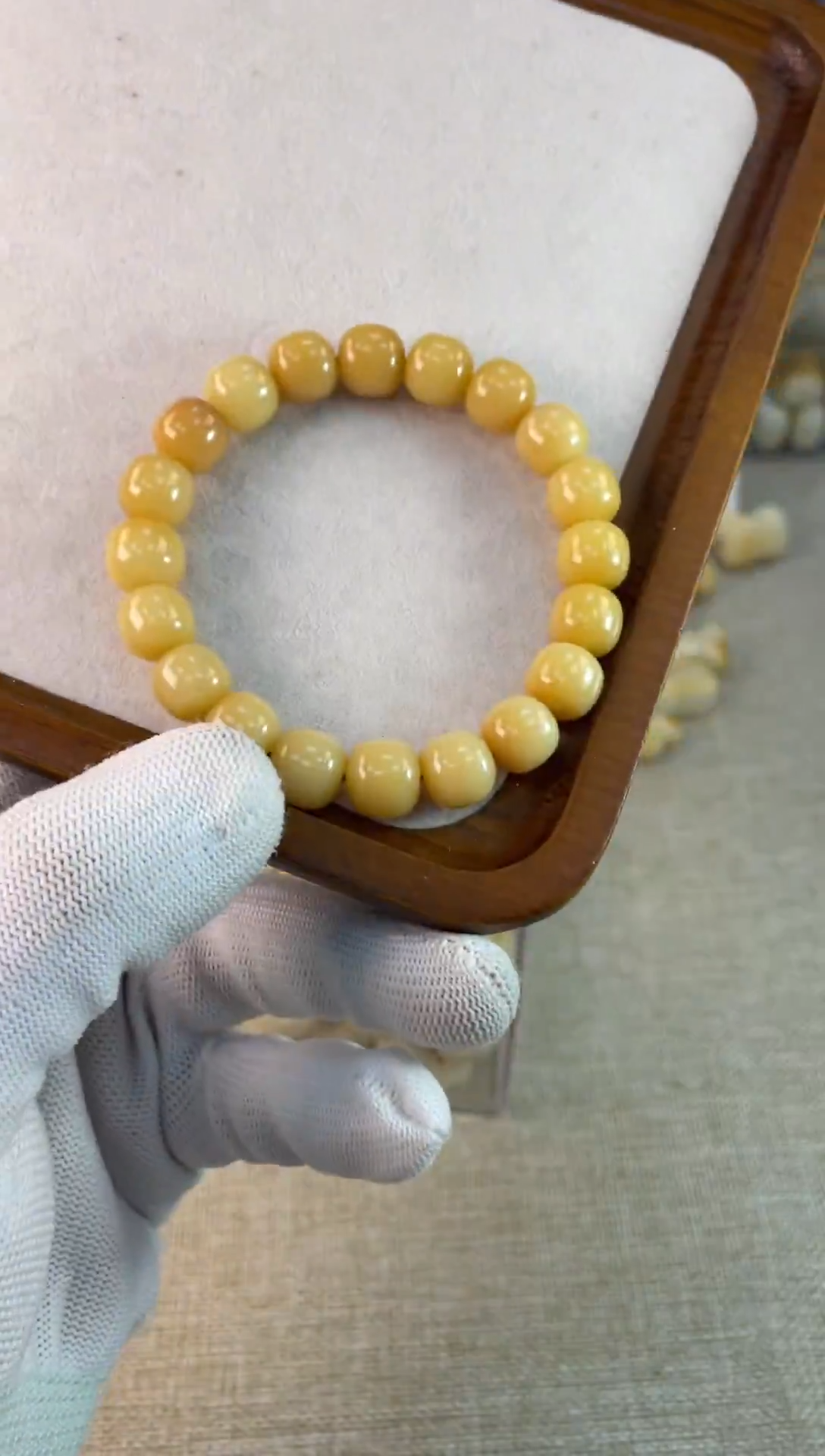 手串菩提根/象牙果20