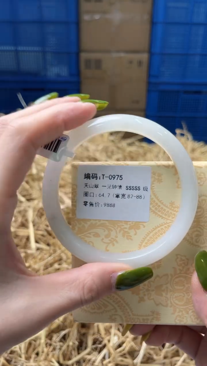 未镶嵌手镯石英质玉T0975