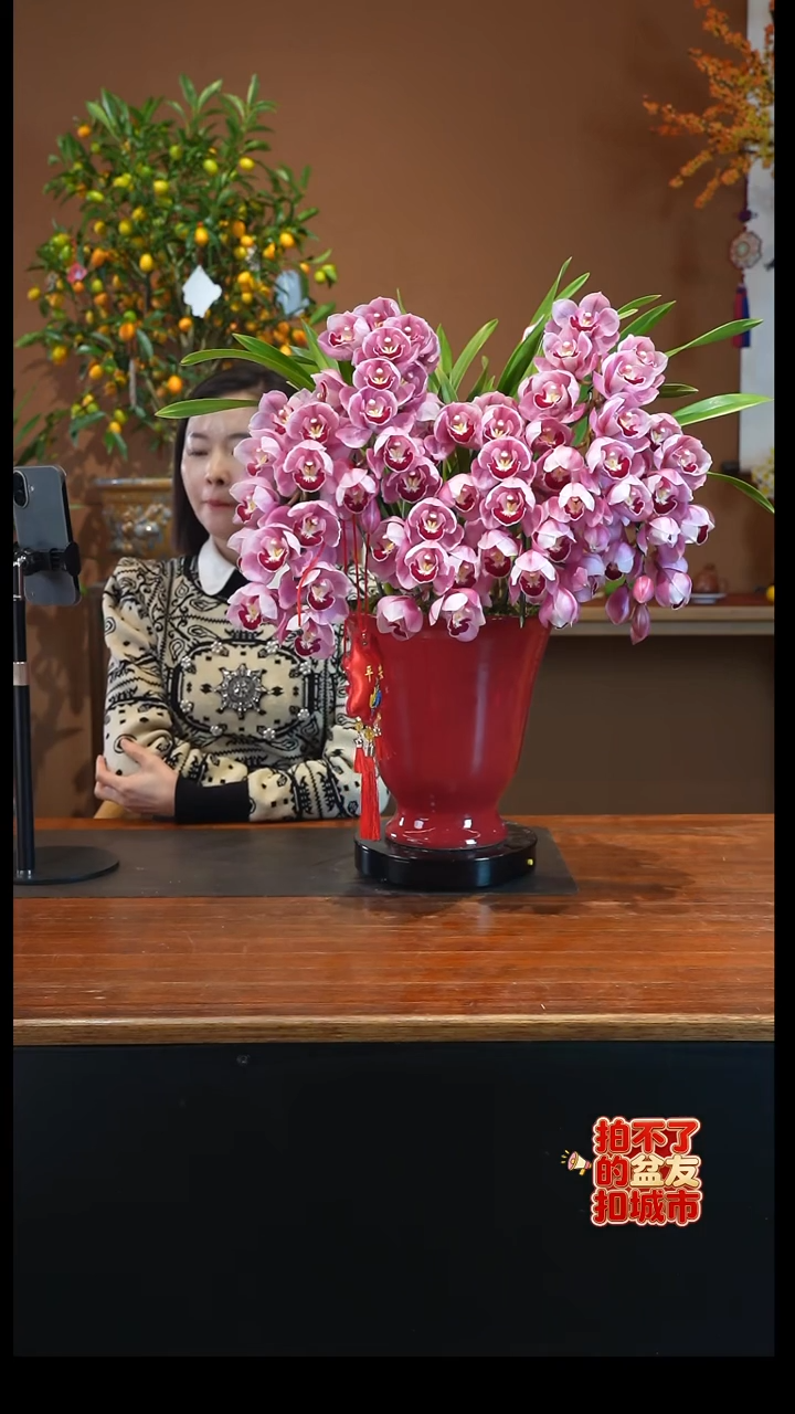 全部花朵盆景盆景