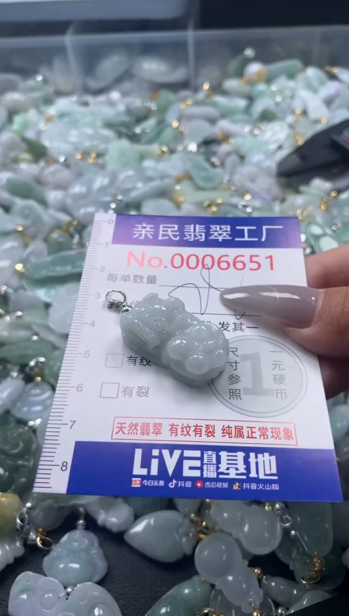 颈饰未镶嵌翡翠6651