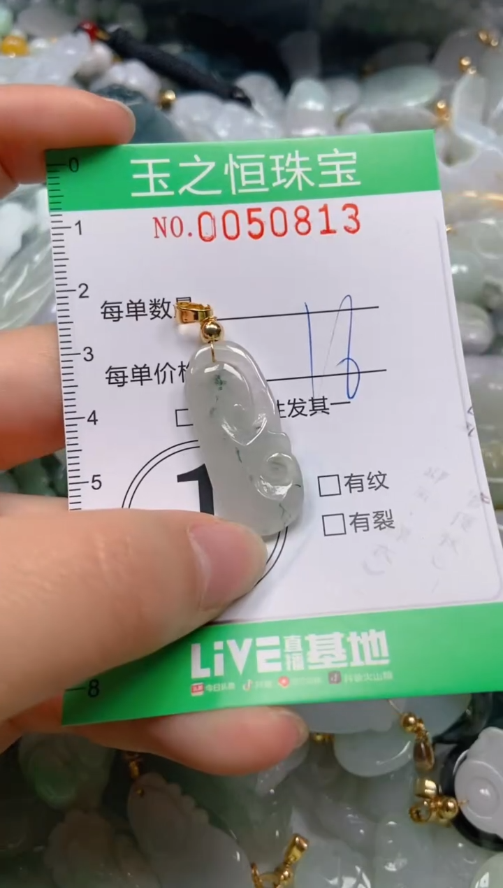 【闪购商品】翡翠颈饰未镶嵌闪购0050813