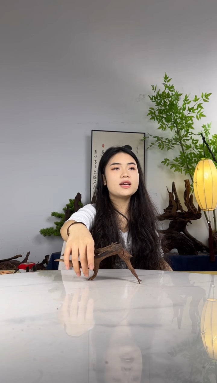 阿*哥拍沉木定向链接编号6