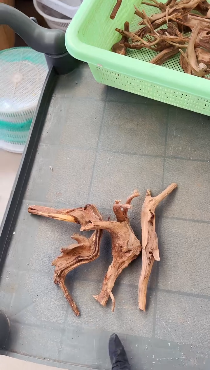 杜鹃根3个小号随机