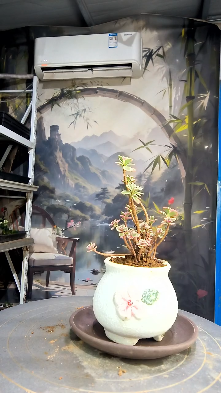 欣*中青园艺一物一拍花156