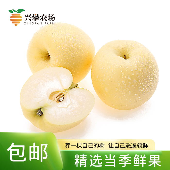 山东奶油富士黄金苹果6-9个含箱5斤