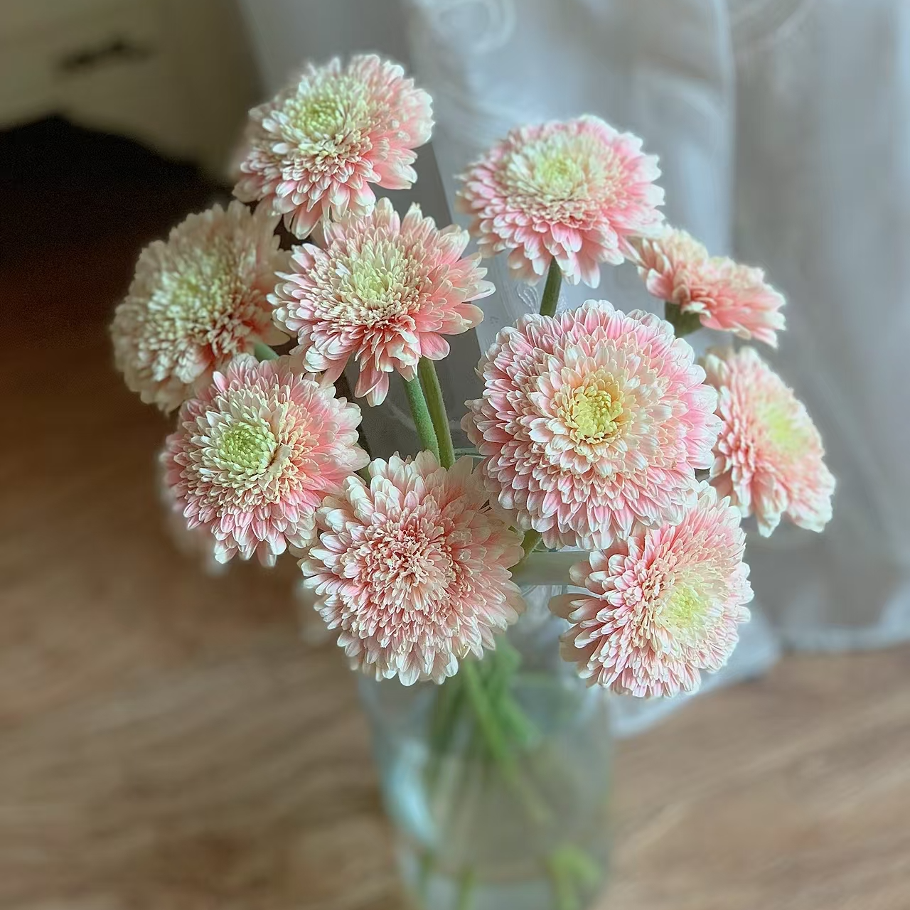 中国玫瑰超级工厂自产姑苏