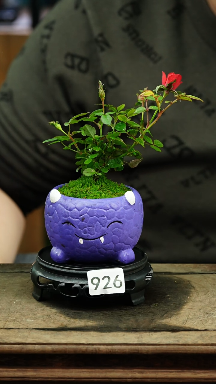 【闪购商品】苔藓微景观926号