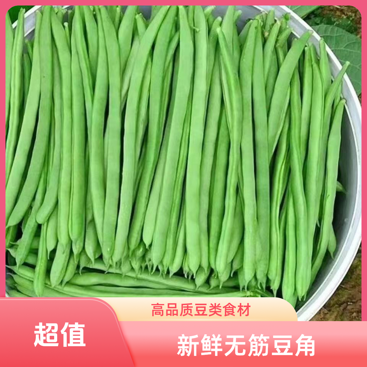 恩施高山露天新鲜四季豆现摘现发无筋豆角