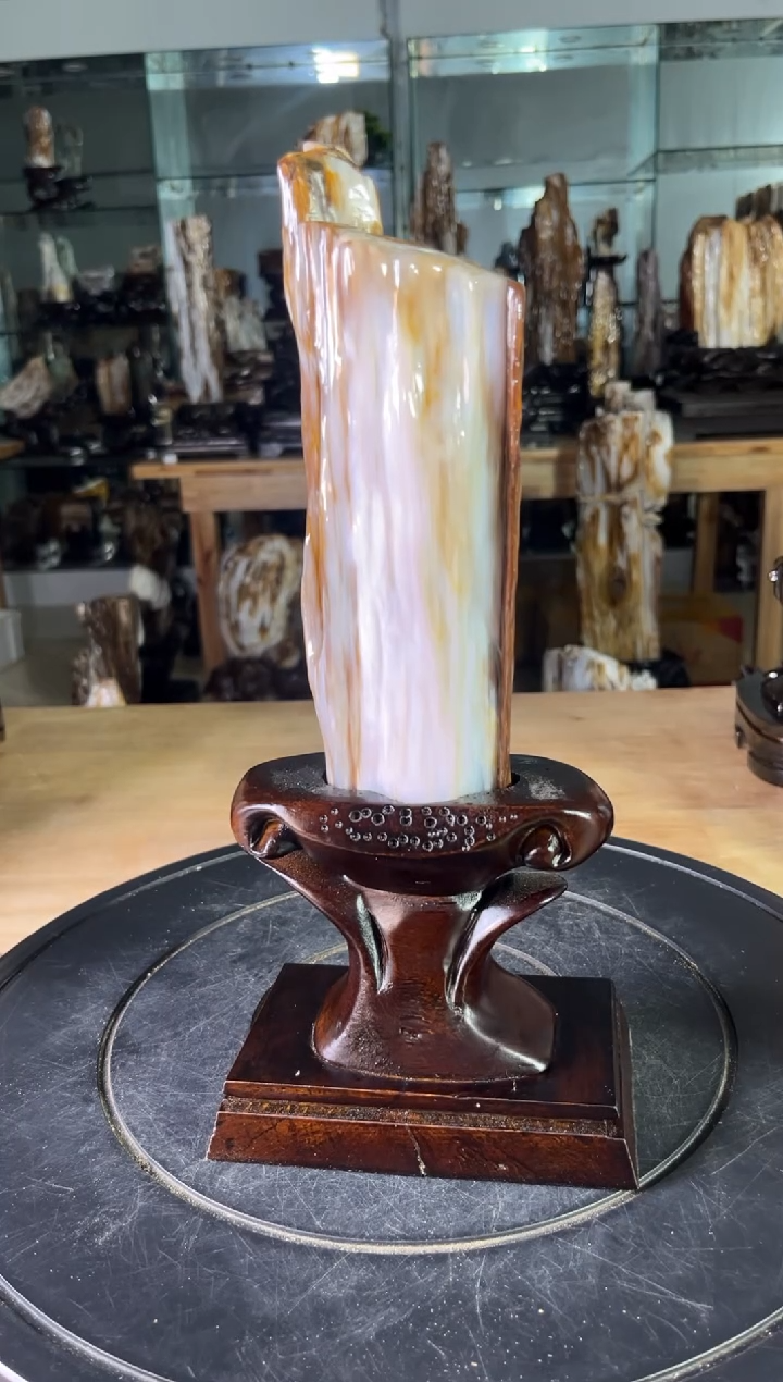 【闪购商品】硅化玉珠宝奇石未镶嵌1