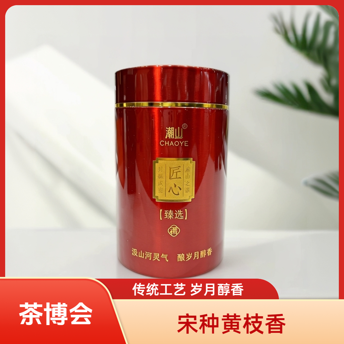 【茶博会专享】潮业单枞茶宋种黄枝香送礼佳品125g 125g*2 500g