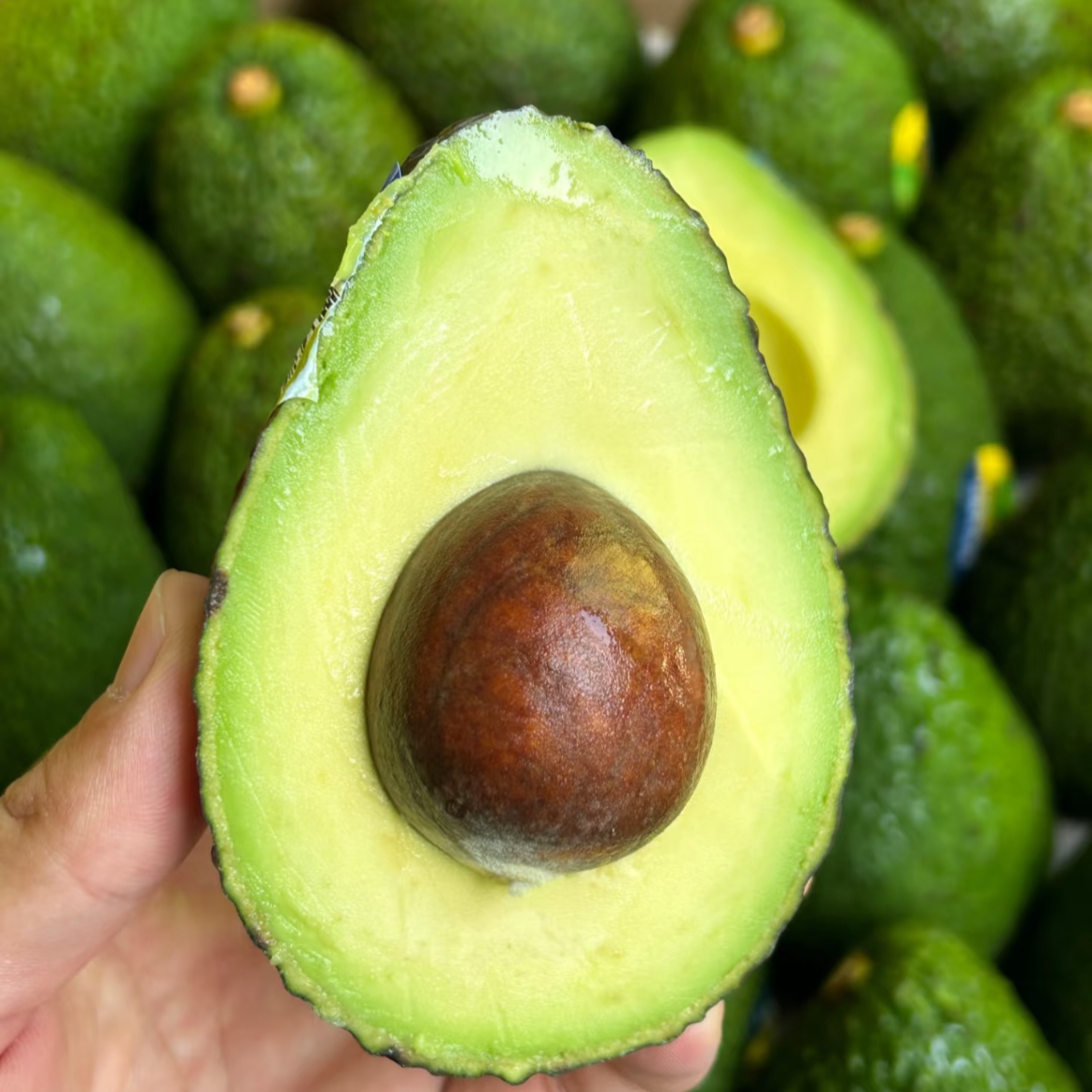 【大表姐推荐】牛油果2个 森林黄油 绵密细腻