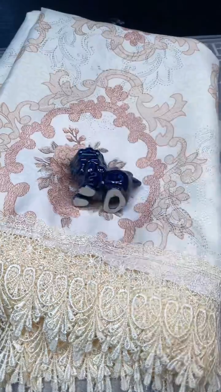 瓷片陶瓷如图所示周边