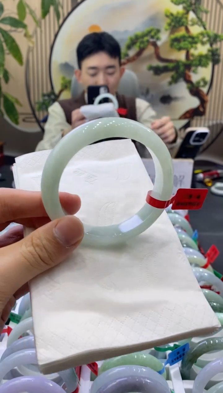 未镶嵌手镯翡翠9154