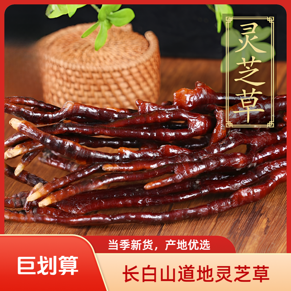 正宗灵芝草中药材长白山特产整枝赤灵芝林芝