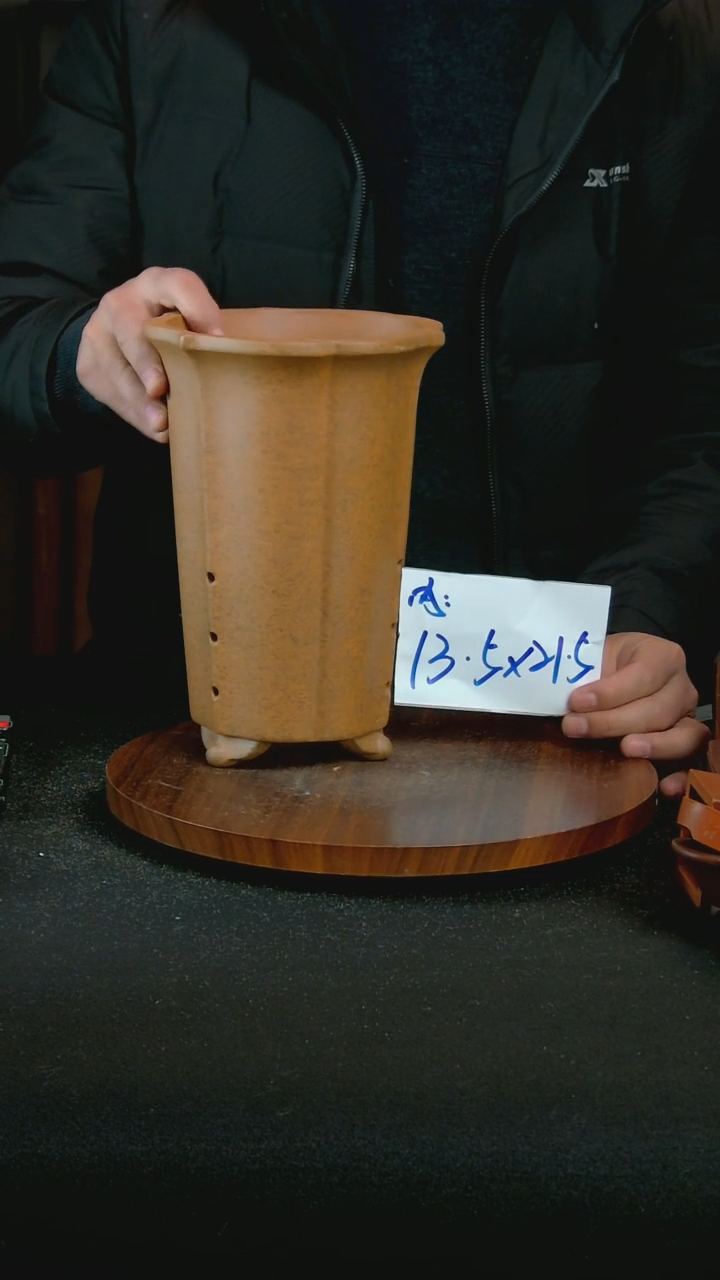 【闪购商品】紫砂C58