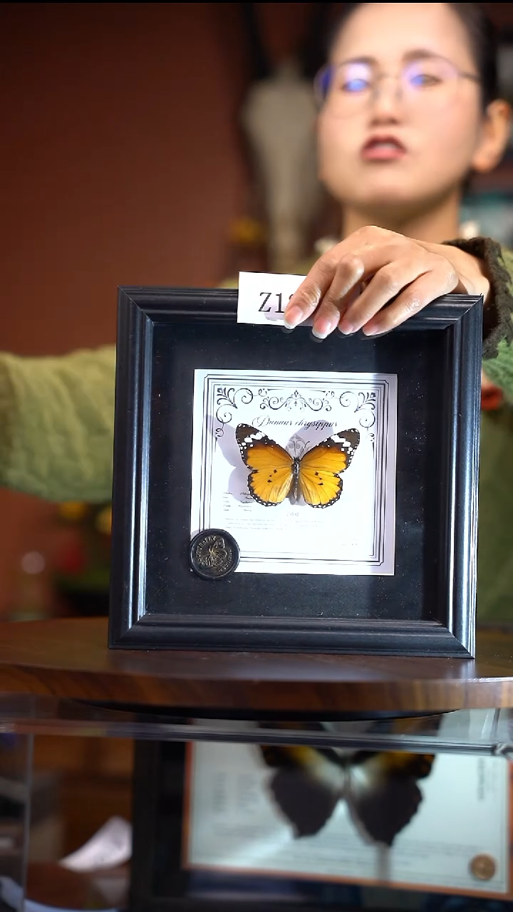 Z186金斑蝶一图一物